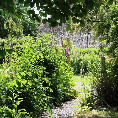 Frieslands * ボックホルン