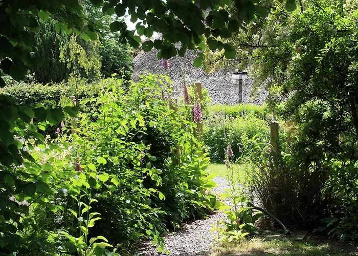 Frieslands * 博克霍恩