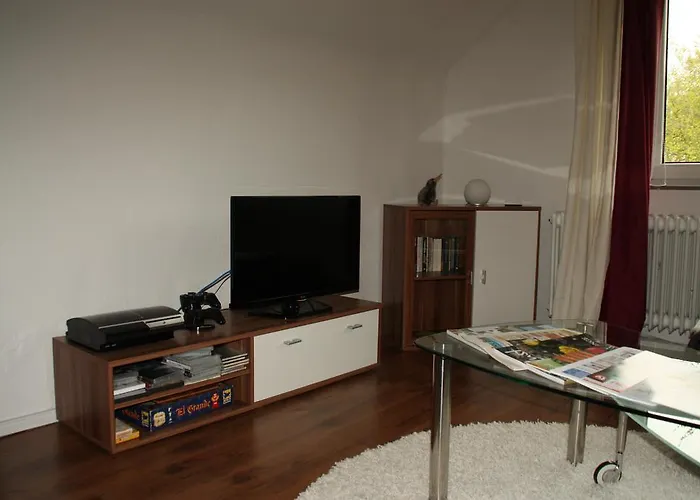 Frieslands * 博克霍恩