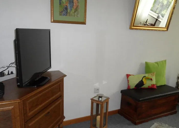 Frieslands 博克霍恩