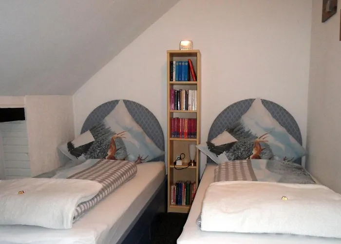 Frieslands * 博克霍恩