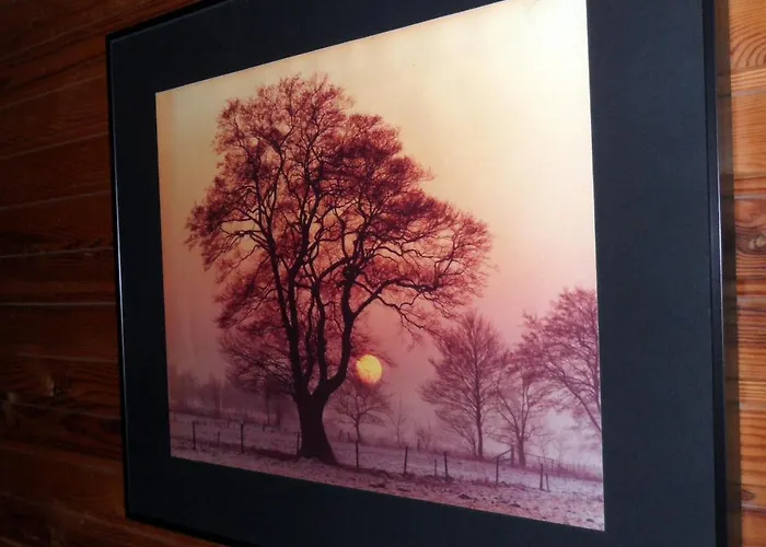 Frieslands 博克霍恩